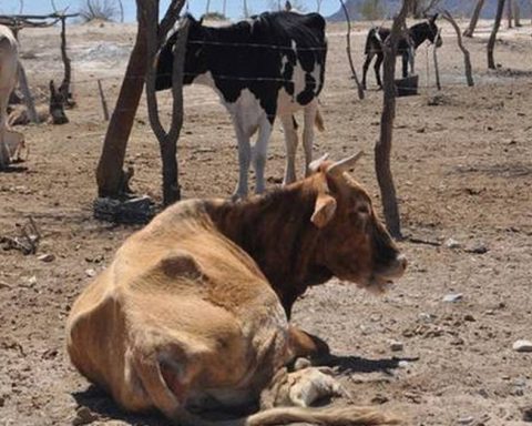 Coahuila se prepara para la sequía extrema que se extenderá hasta 2023