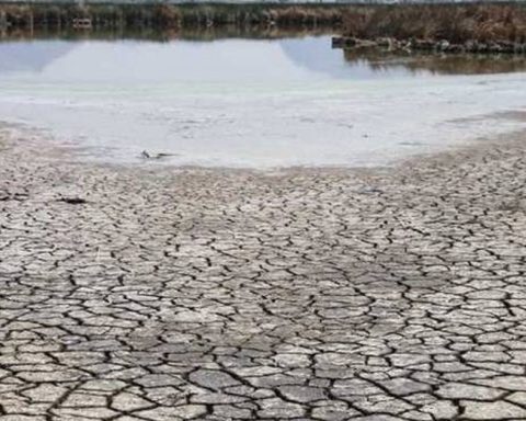 Coahuila en riesgo de atravesar un cuarto año de sequía