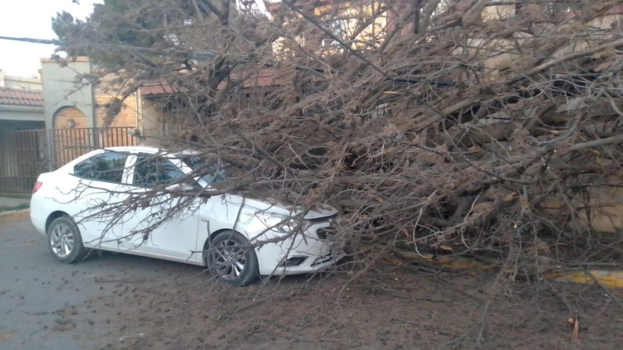 rachas de viento Saltillo