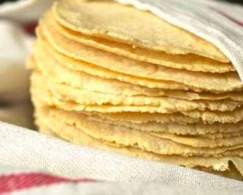 El precio de la tortilla alcanza hasta los 30 pesos en Torreón