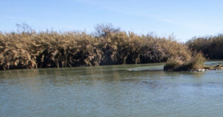 Una familia de migrantes fue rescatada luego de ser arrastrada por el Río Bravo