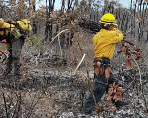 La Conafor pierde apoyo económico ante alza de incendios