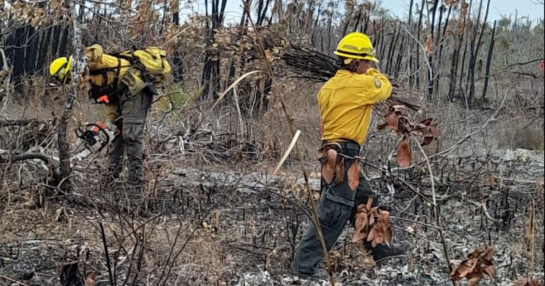 La Conafor pierde apoyo económico ante alza de incendios