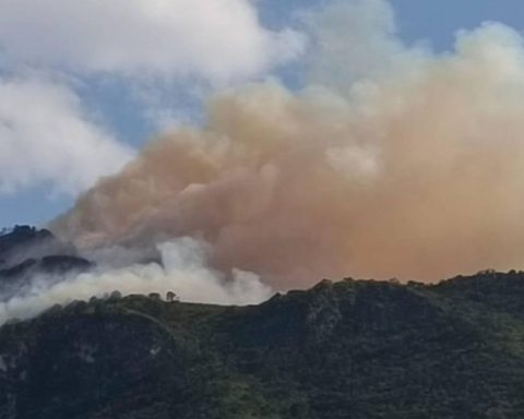 Incendio en cañón de Ramos Arizpe amenaza con propagarse, brigadas de combate se movilizan