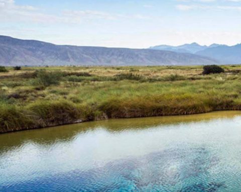 agua Cuatro Ciénegas