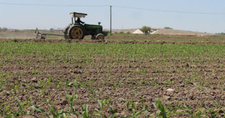 Suelos deteriorado en la región Lagunera: Reto urgente para la agricultura