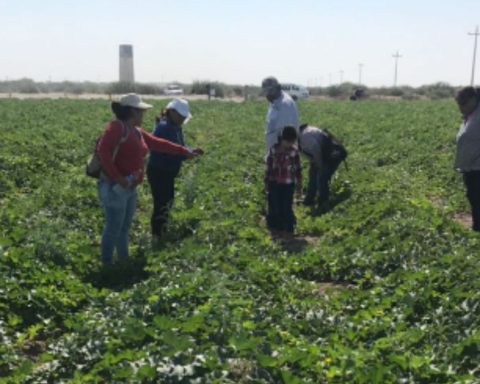 Hallan más de 25 cementerios clandestinos en Coahuila