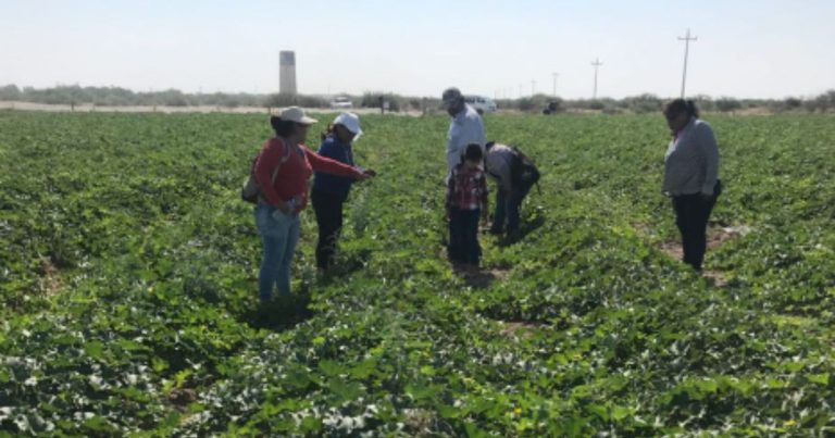 Hallan más de 25 cementerios clandestinos en Coahuila