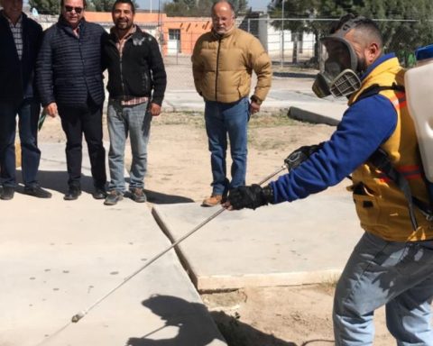 Lanzarán campaña masiva en contra de garrapatas en Saltillo, Coahuila