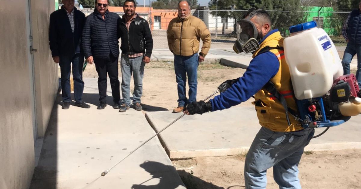 Lanzarán campaña masiva en contra de garrapatas en Saltillo, Coahuila