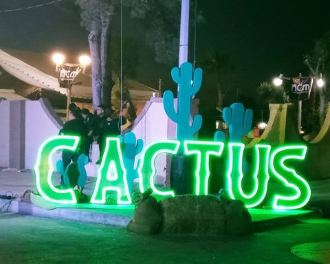 Cactus Festival