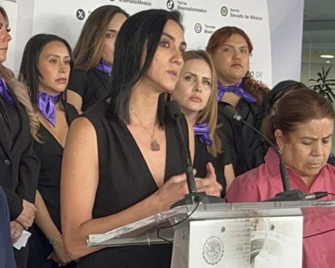 Un grupo de senadoras respaldó a la madre de la niña violentada.