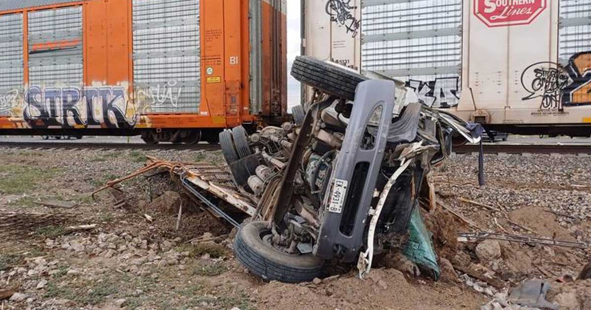 El tren impactó al camión, que llevaba cinco vacas.