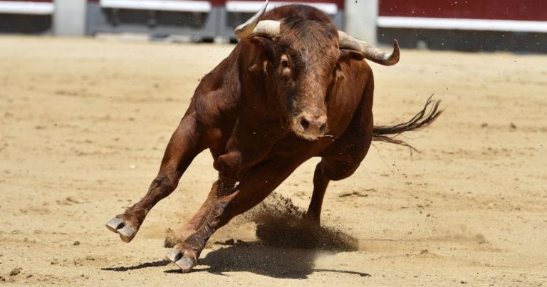 Corridas de Toros