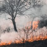 Coahuila se arma contra incendios.