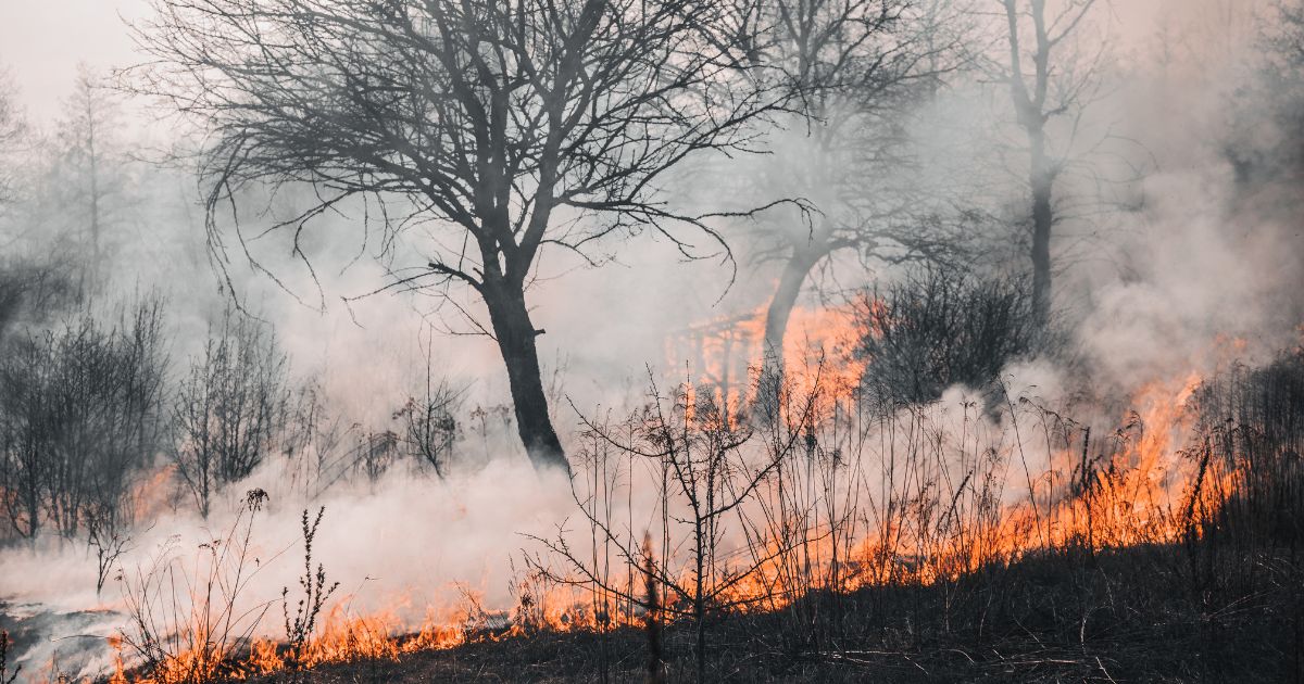 Coahuila se arma contra incendios.