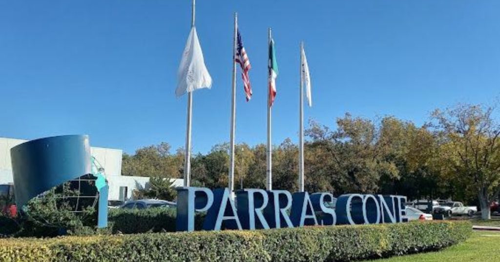 Los empleados de la empresa textil Parras Cone llevaron a cabo una breve manifestación .