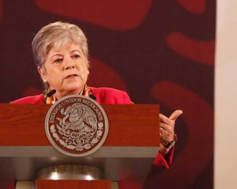 La canciller Alicia Bárcena ha llevado el caso a instancias internacionales.