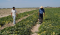 En el abandono, el campo coahuilense.