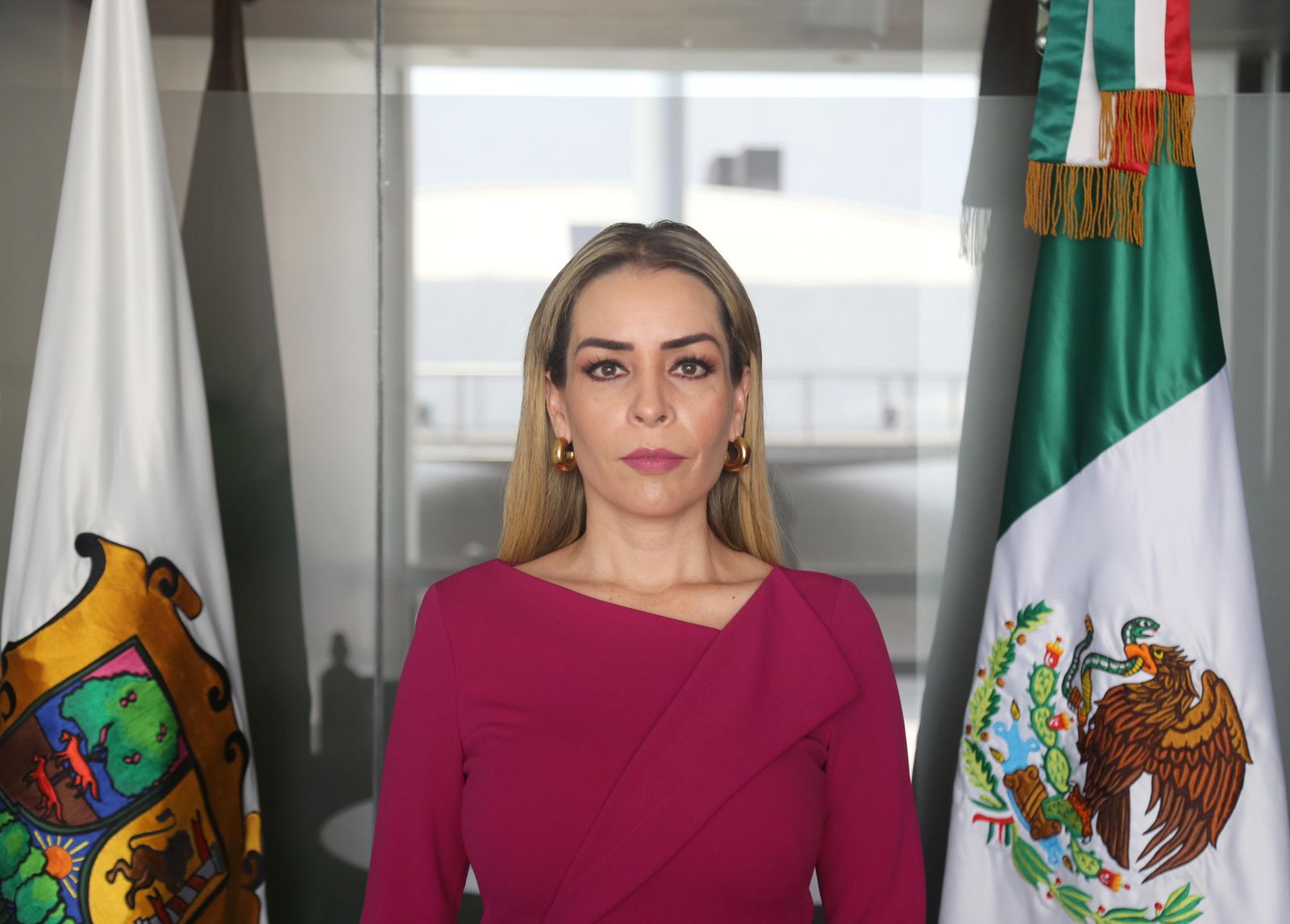 La senadora Verónica Martínez García