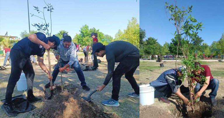 Jornada de reforestación