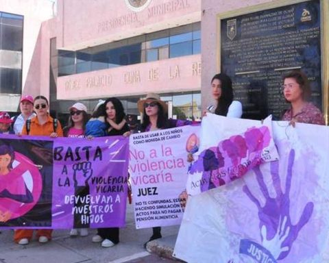 Protesta contra la violencia vicaria