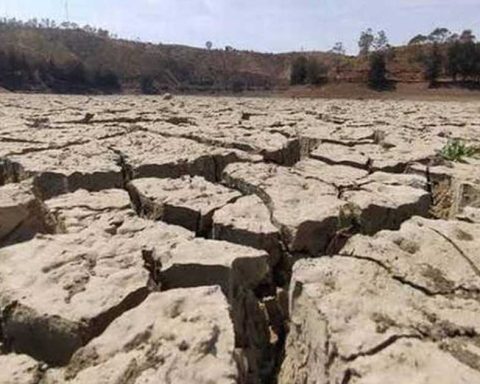 Sequía Coahuila