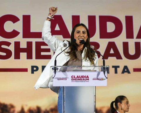 Cecilia Guadiana, candidata al Senado,