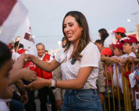 Cecilia Guadiana, candidata de Morena al Senado.