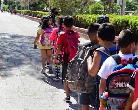 Curso de verano en la UDT