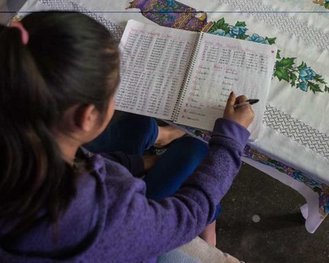 Niñas y mujeres en la ciencia