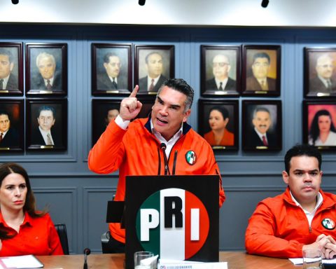 Dirigente Nacional del PRI