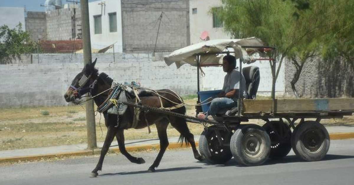 Carromateros en Torreón