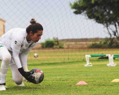 Santos Femenil