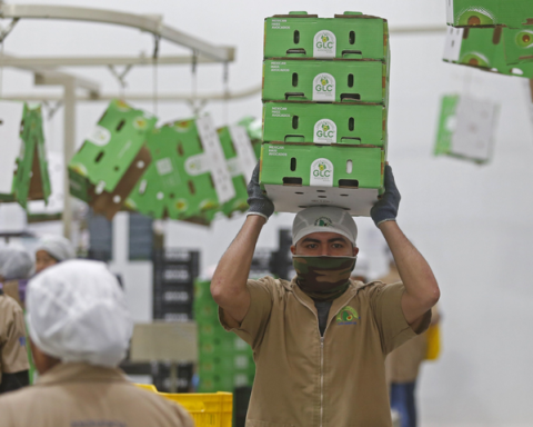 En Michoacán, aún se tienen detenidas 20 mil toneladas de aguacate