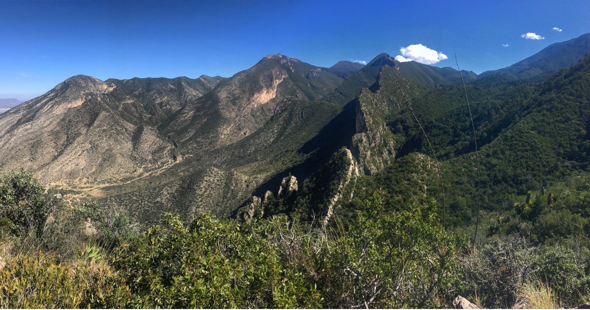 Planean nuevas presas de gaviones en la Sierra de Zapalinamé entre Saltillo y Arteaga