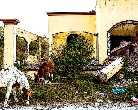 Víctimas de Allende, Coahuila