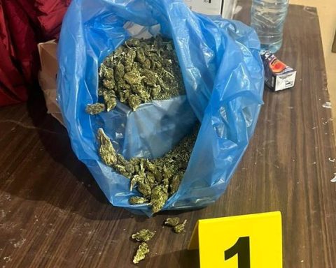 Marihuana encontrada en San Pedro