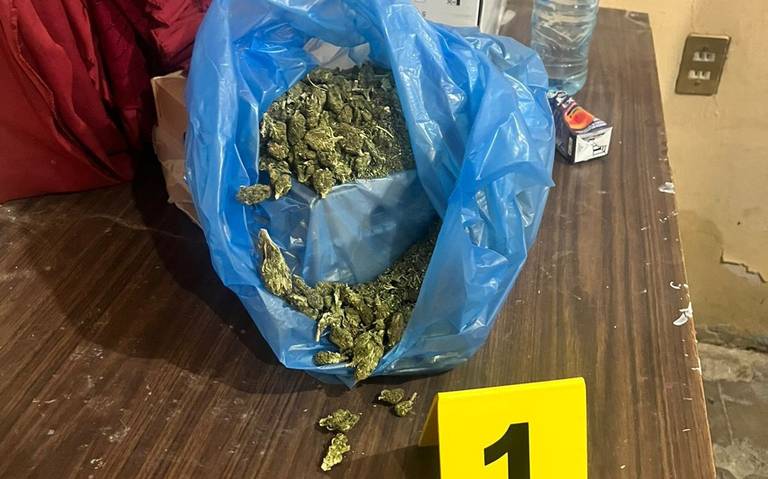 Marihuana encontrada en San Pedro