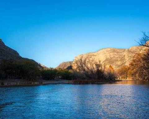 Especies invasoras desplazan a peces nativos en el Cañón de Fernández