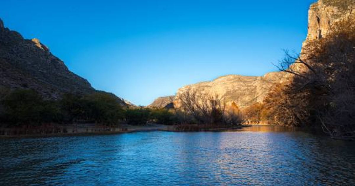 Especies invasoras desplazan a peces nativos en el Cañón de Fernández