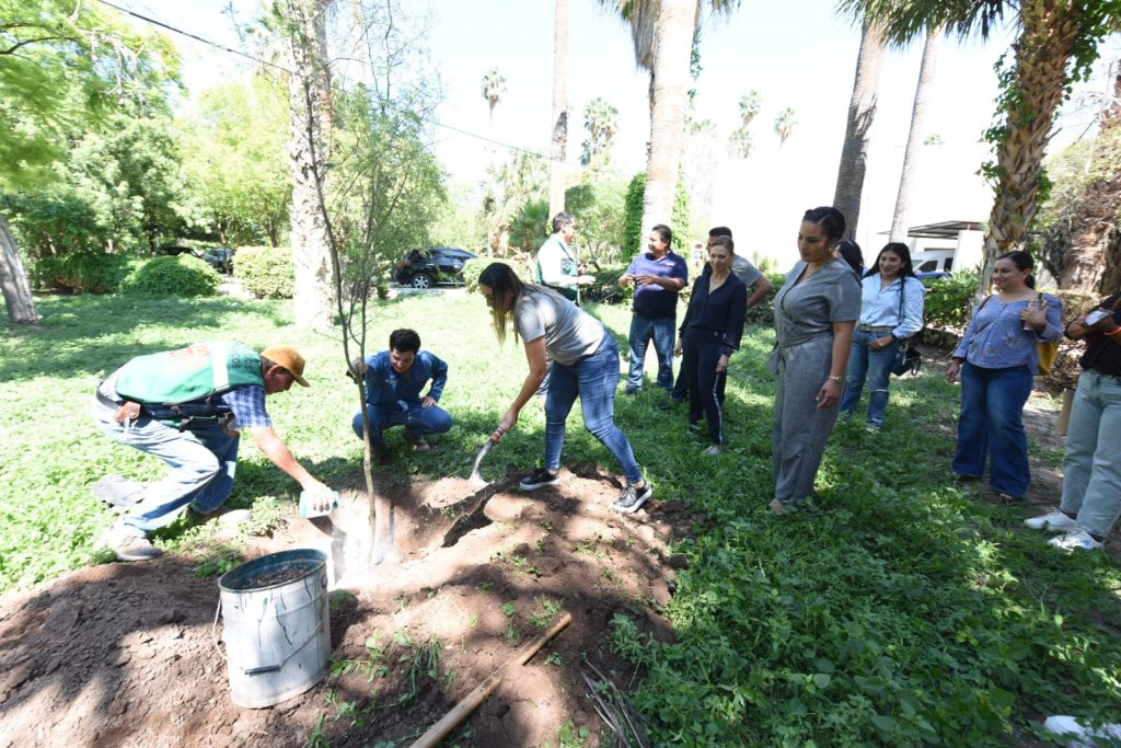 Capacitan a representantes de 20 instituciones que pertenecen al programa “Mi querida escuela”.