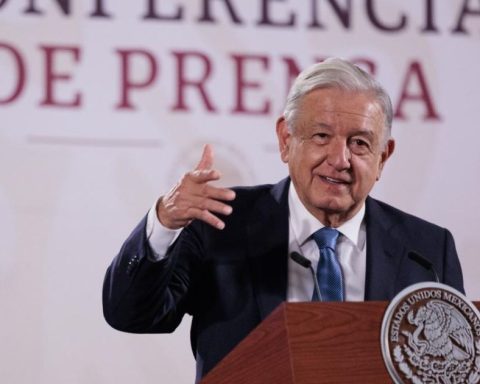 AMLO El Pinabete