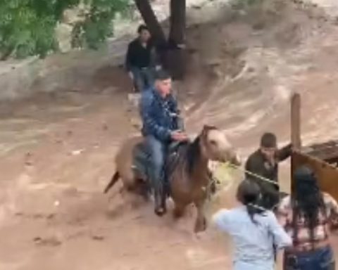 Rescatan a tres caballos atrapados en corriente de agua por lluvias durante cabalgata