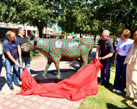 Paseo Colón de Torreón se llenó de vida y color con la inauguración del CowParade México 2024