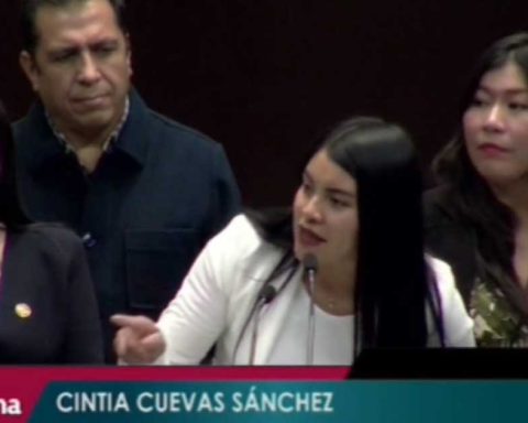 Cintia Cuevas, diputada federal por Coahuila.