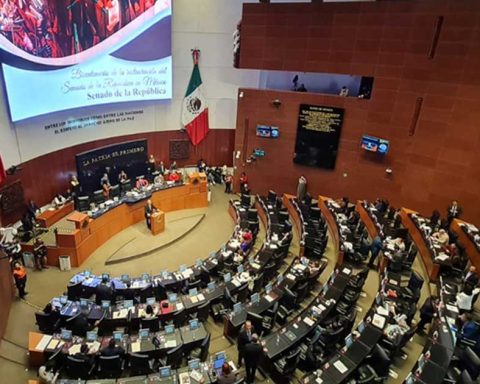 Senadores en la Cámara alta.