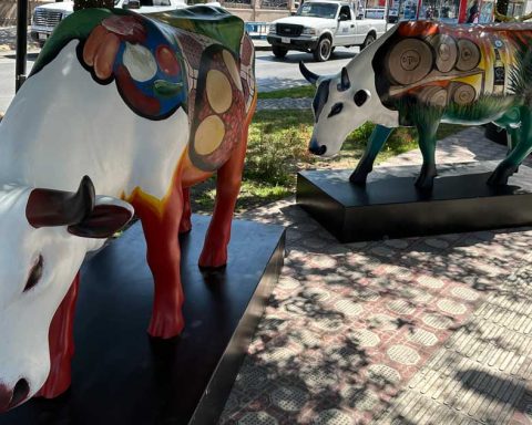 Expo Cow Parade 2024 en Torreón