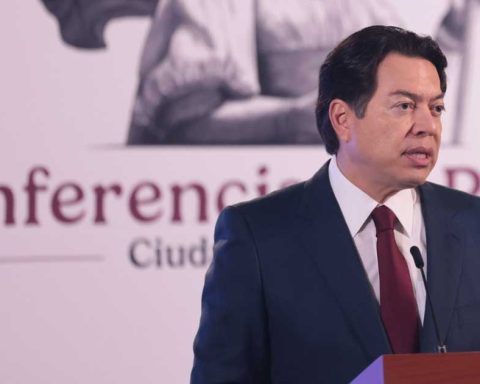 Mario Delgado, secretario de Educación