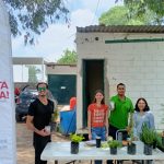 Cierra programa de “Planta y Cuida”